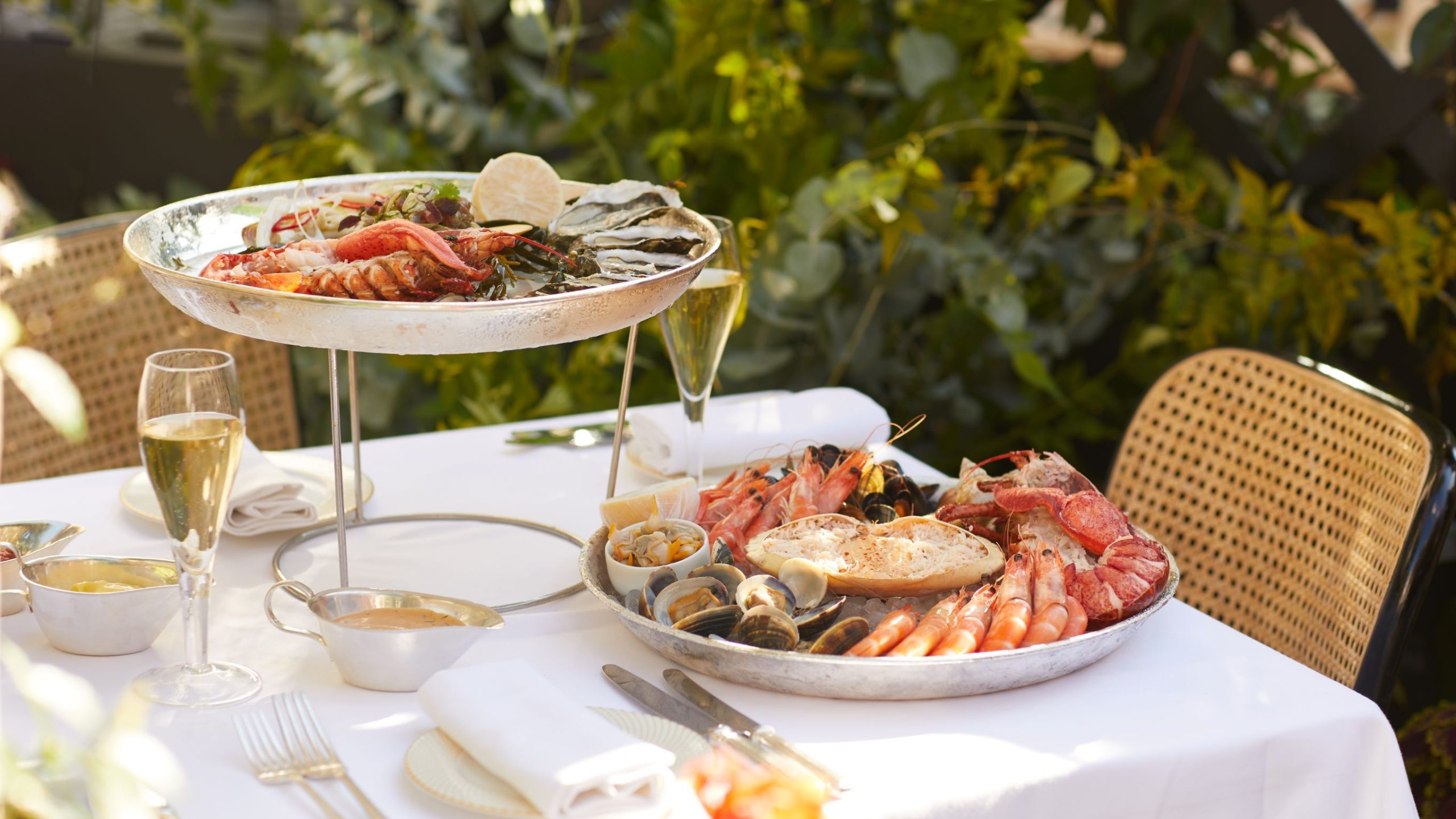 Explore Our Menus